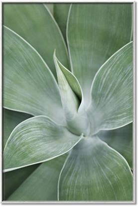 Picture of Up Close & Green