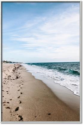 Picture of Walking the Shoreline