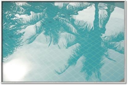 Picture of Water Shadows