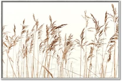 Picture of Wheat in the Wind IV