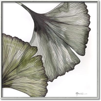 Picture of Ginko Leaves I