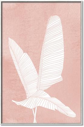 Picture of Pink Palm II