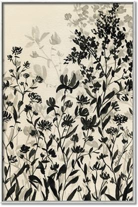 Picture of Shadow Garden I