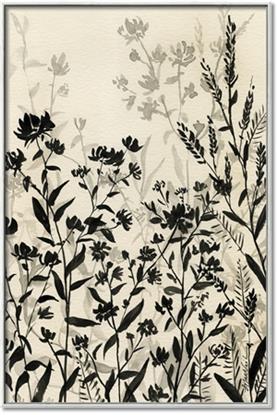 Picture of Shadow Garden II