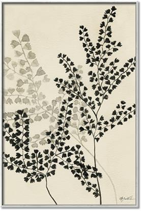 Picture of Shadow Botanical I