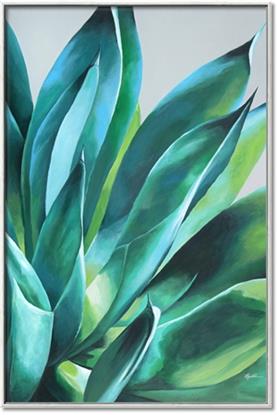 Picture of Extreme Succulent