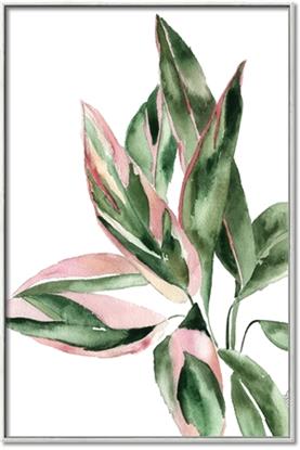 Picture of Pink and Green II