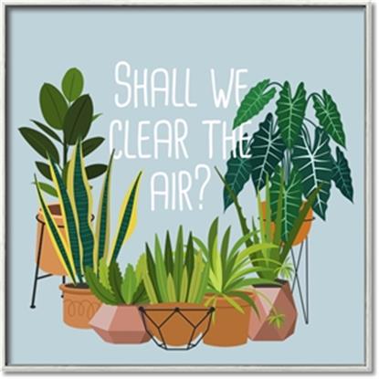 Picture of Clear the air