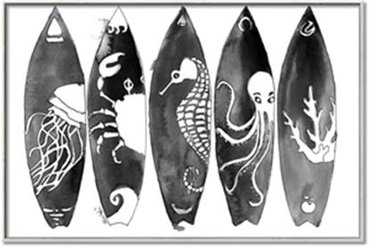 Picture of B&W Surfboards