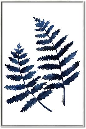 Picture of Two Blue Ferns