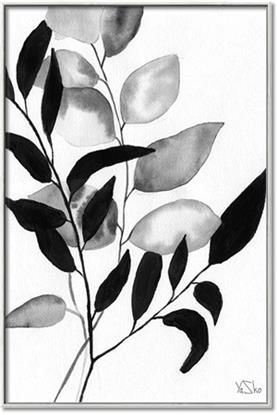 Picture of Black Botanical