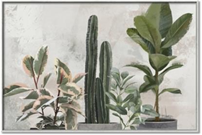 Picture of Plant Group