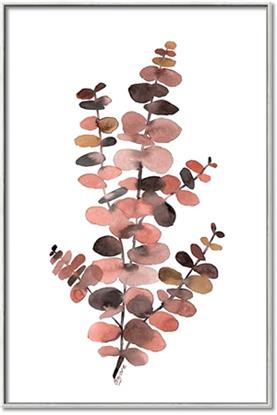 Picture of Pink Color Eucalyptus I