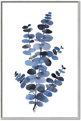 Picture of Blue Color Eucalyptus I 