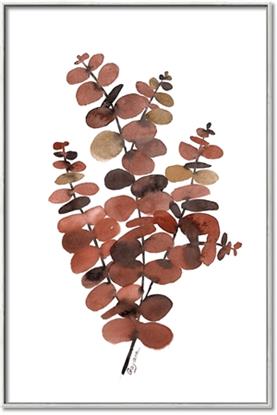 Picture of Rust Color Eucalyptus II 