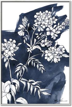 Picture of White Flower on blue bkg