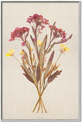 Picture of Dried Flowers I 