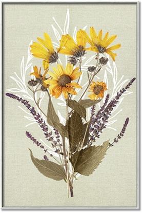 Picture of Dried Flowers with Outline II 