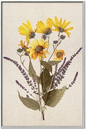 Picture of Dried Flowers II 