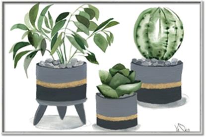 Picture of Plants in Grey vases