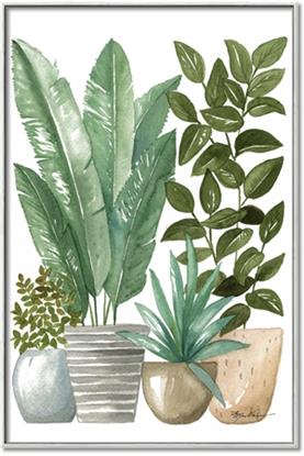 Picture of Plant Party II