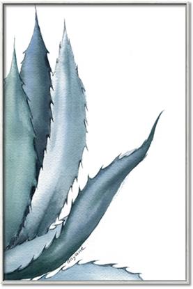 Picture of Succulent 