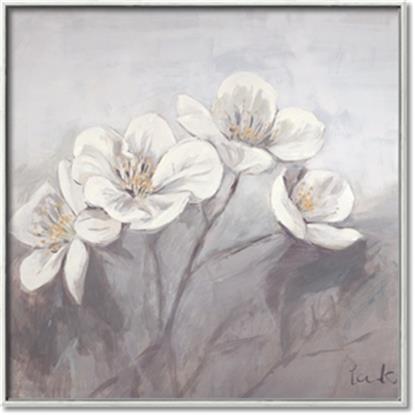 Picture of White Magnolias