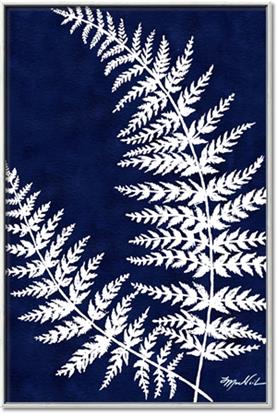 Picture of Fern on blue II