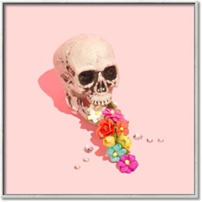 Picture of Happy Skull