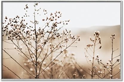 Picture of Neutral Grasses