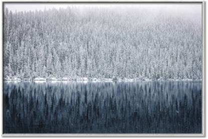 Picture of Winter Reflections Navy