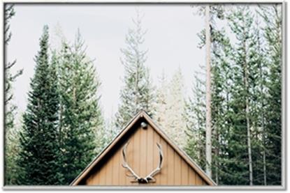 Picture of Forest Cabin