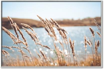 Picture of Fall Beach