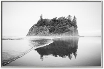 Picture of B&W East Coast Shore