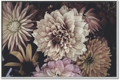 Picture of Autumn Bliss