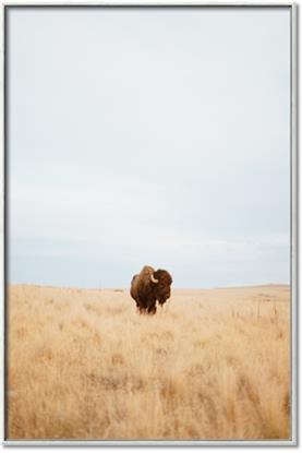 Picture of Field Guy