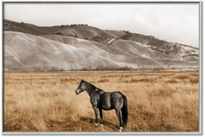 Picture of Mustard Grass Horse