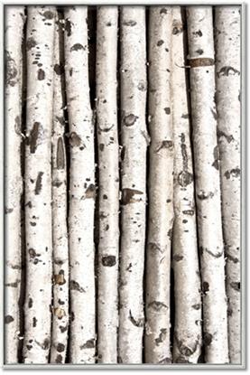 Picture of Birch Logs