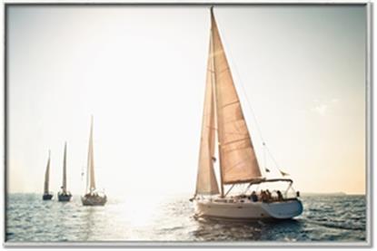 Picture of Sunrise Sail