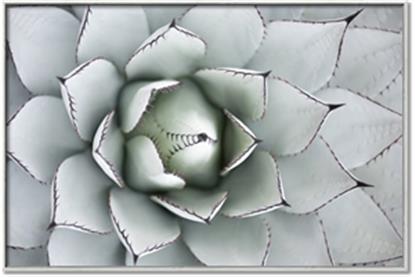 Picture of Landscaped flower Bed