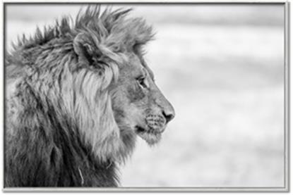 Picture of The Godfather