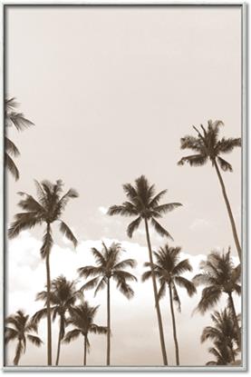 Picture of Palm Goddess