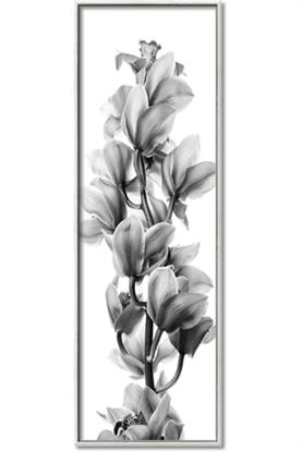 Picture of Orchid Flowers I