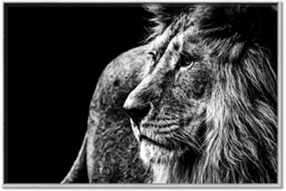 Picture of The Big Cat