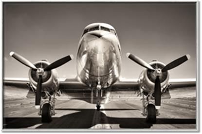 Picture of On the Runway