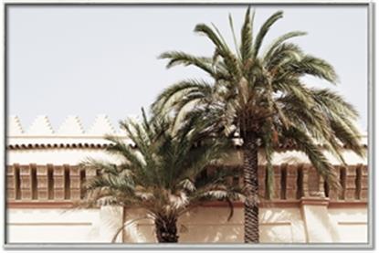 Picture of Wall with Palm Tree