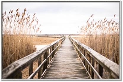 Picture of A Wooden Bridge