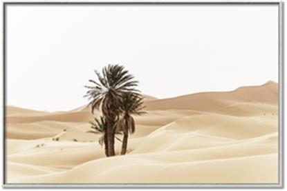 Picture of Sandy Desert