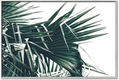 Picture of Behind the Leaves