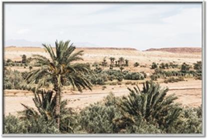 Picture of Desert Greens